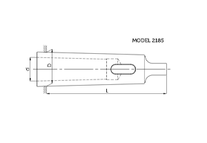 Hassas Mors Kovanları